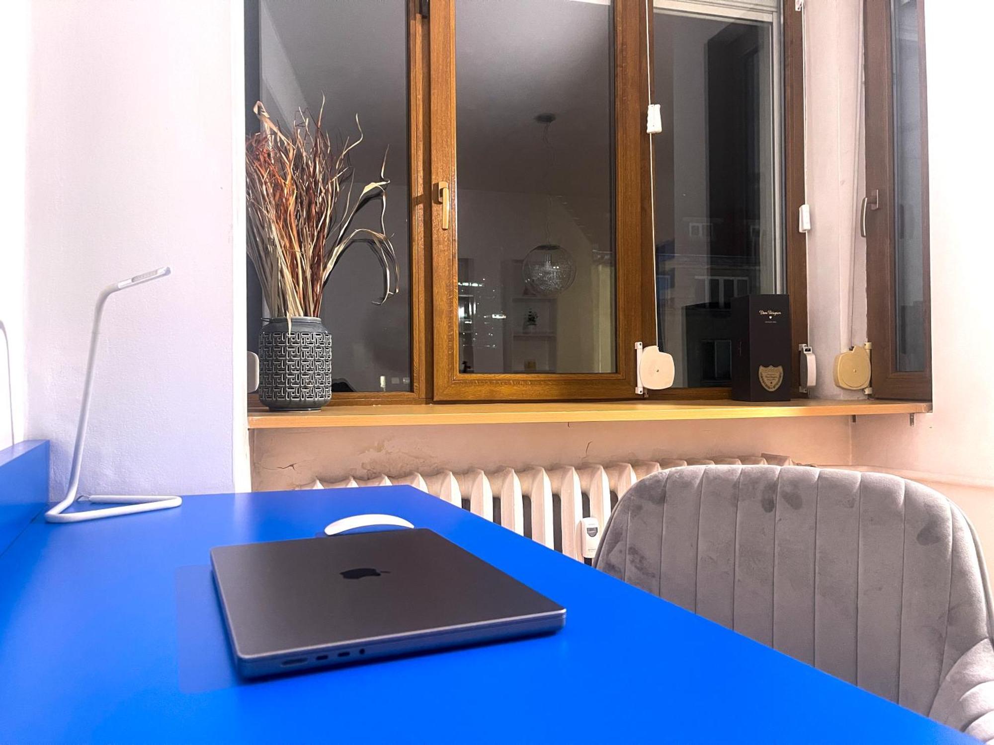 Spacious Flat On Sofia's Main Street Апартамент